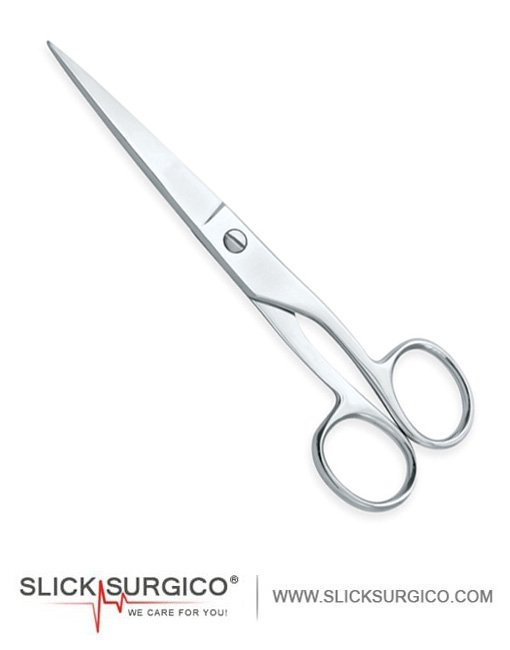 Household Scissors With Two Pointed Blades